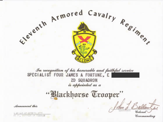 Eleventh Armored Cavaltry Regiment ~ Blackhorse Trooper
